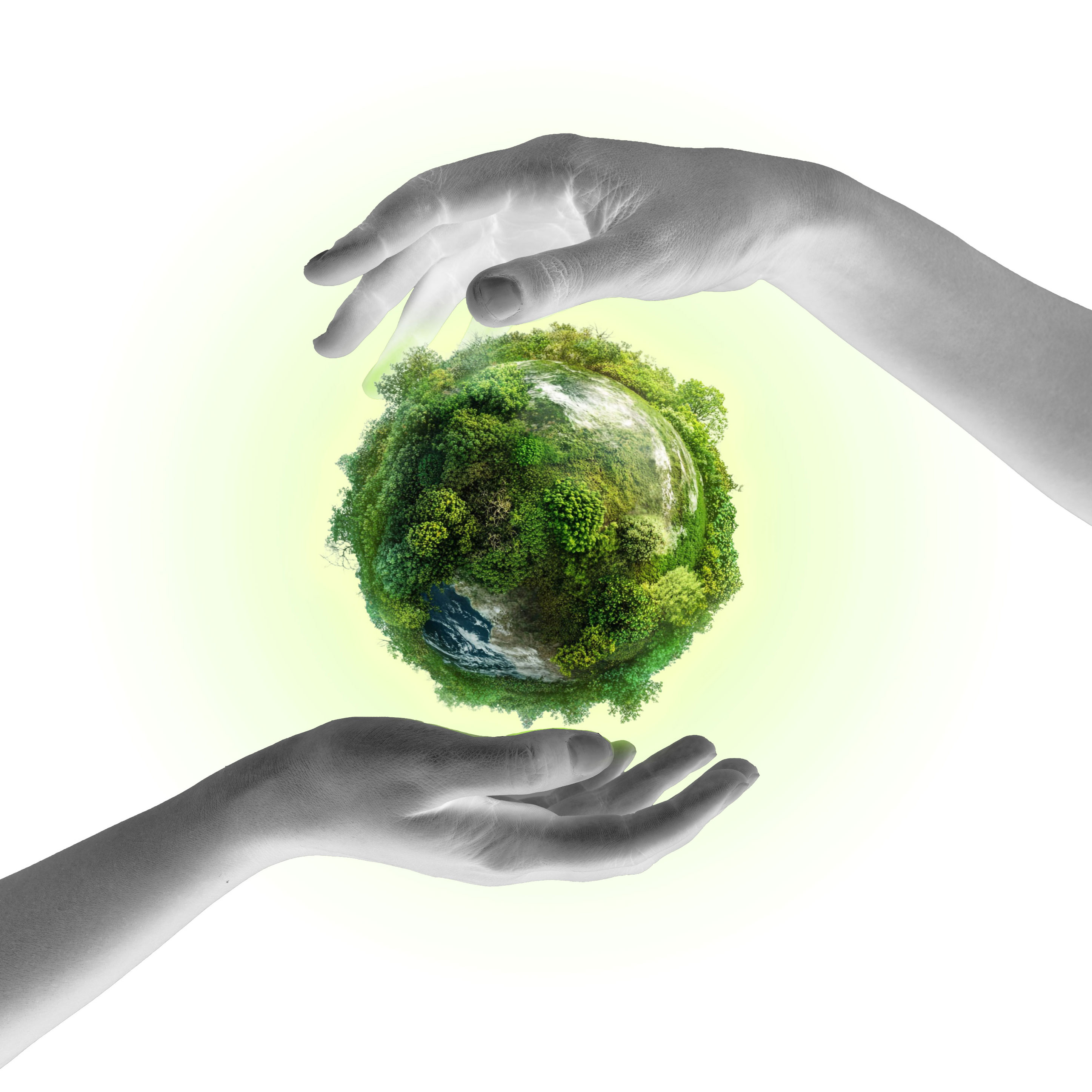 Hands with a globe between them