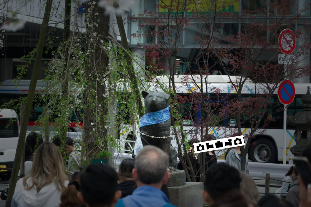 Hachiko